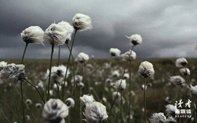 肖申克的救赎每个人都有自己的故事情节吗 肖申克的救赎有句话(图6) 肖申克的救赎每个人都有自己的故事情节吗 肖申克的救赎有句话(图6)
