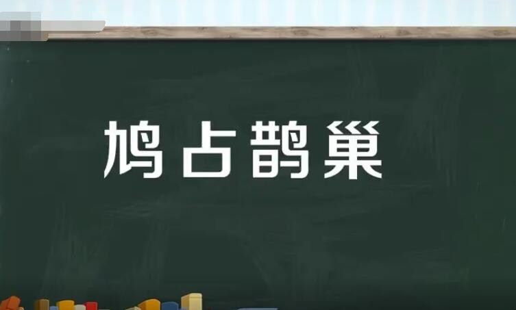 鸠占鹊巢怎么造句 鸠占鹊巢病句