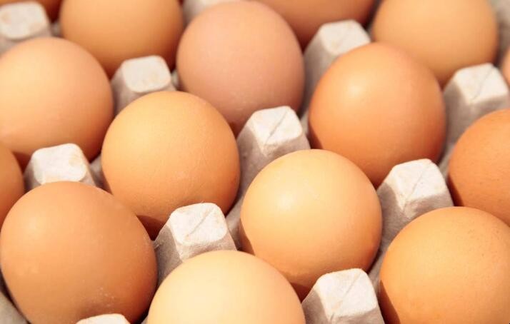 人造蛋与鸡蛋的区别是什么? 人造鸡蛋有什么区别(图1)