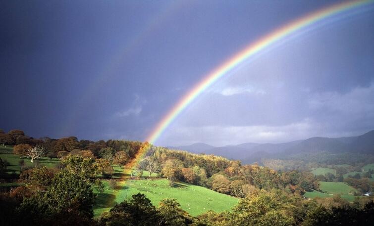 为什么下雨后见彩虹 为什么下雨后彩虹会出现(图1)