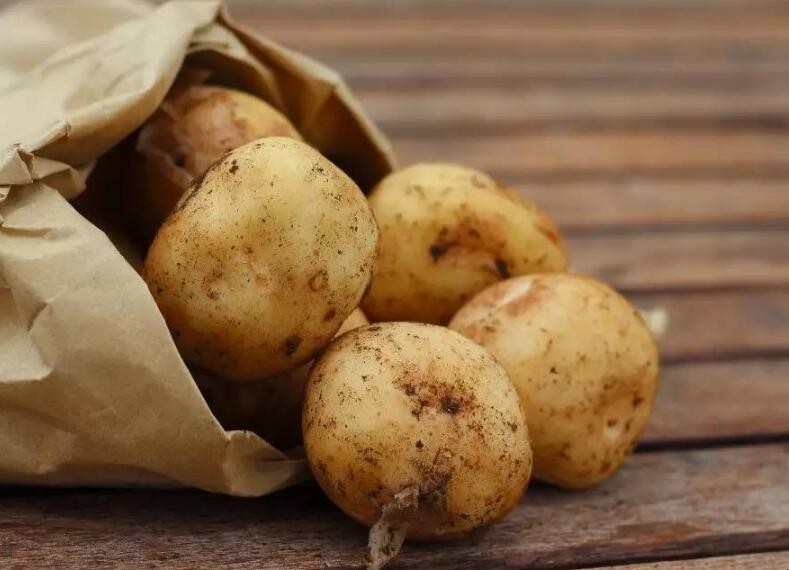 土豆挑选方法是什么原理 土豆的挑选方法