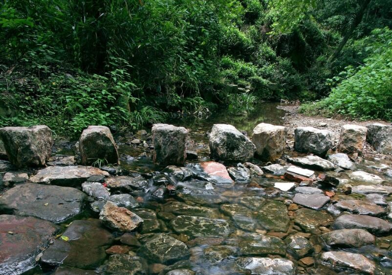 杭州游玩的景点有哪些 杭州必要玩的景点(图1)