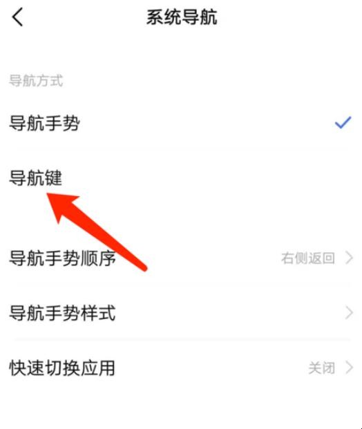 Vivo手机怎么把返回键调出来 Vivo手机的返回键怎么调出来(图3)