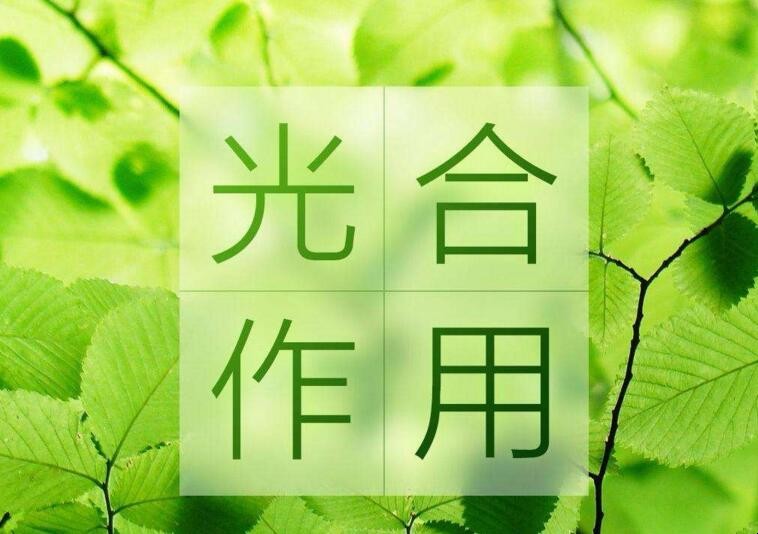 光合作用的重要意义有哪些 光合作用有哪些重要意义?(图1)