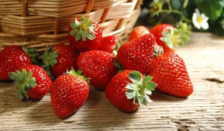 如何分辨催熟的草莓和葡萄呢 如何分辨催熟的草莓和葡萄苗(图1)