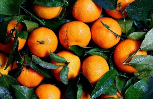 怎样挑橘子才甜 橘子怎么挑甜(图1)