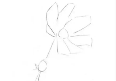 素描菊花怎么画 画菊花的画法(图1)