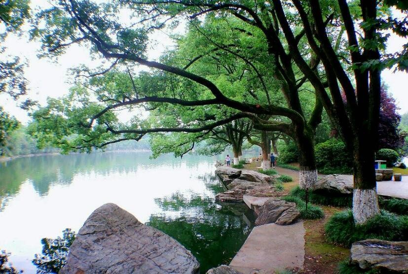 菱湖风景区好玩吗多少钱一天 菱湖风景区好玩吗多少钱一位