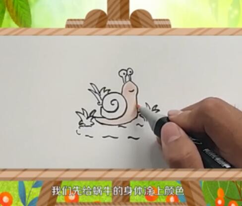 蜗牛简单的画法 蜗牛是咋画的
