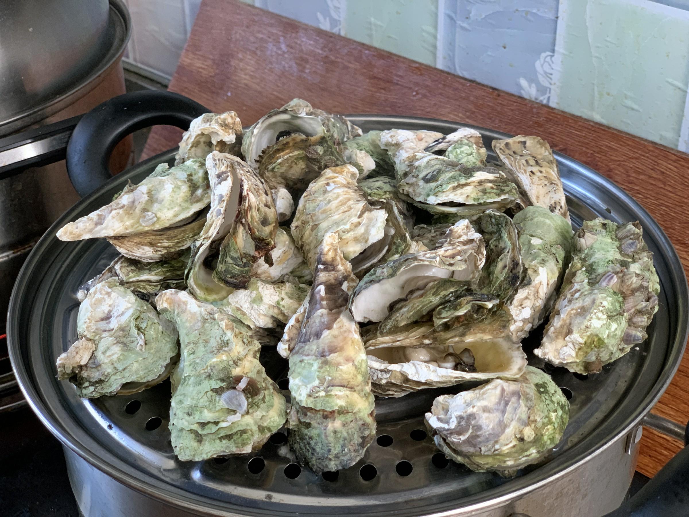 生蚝大的划算还是小的划算 生蚝买大号还是小号划算