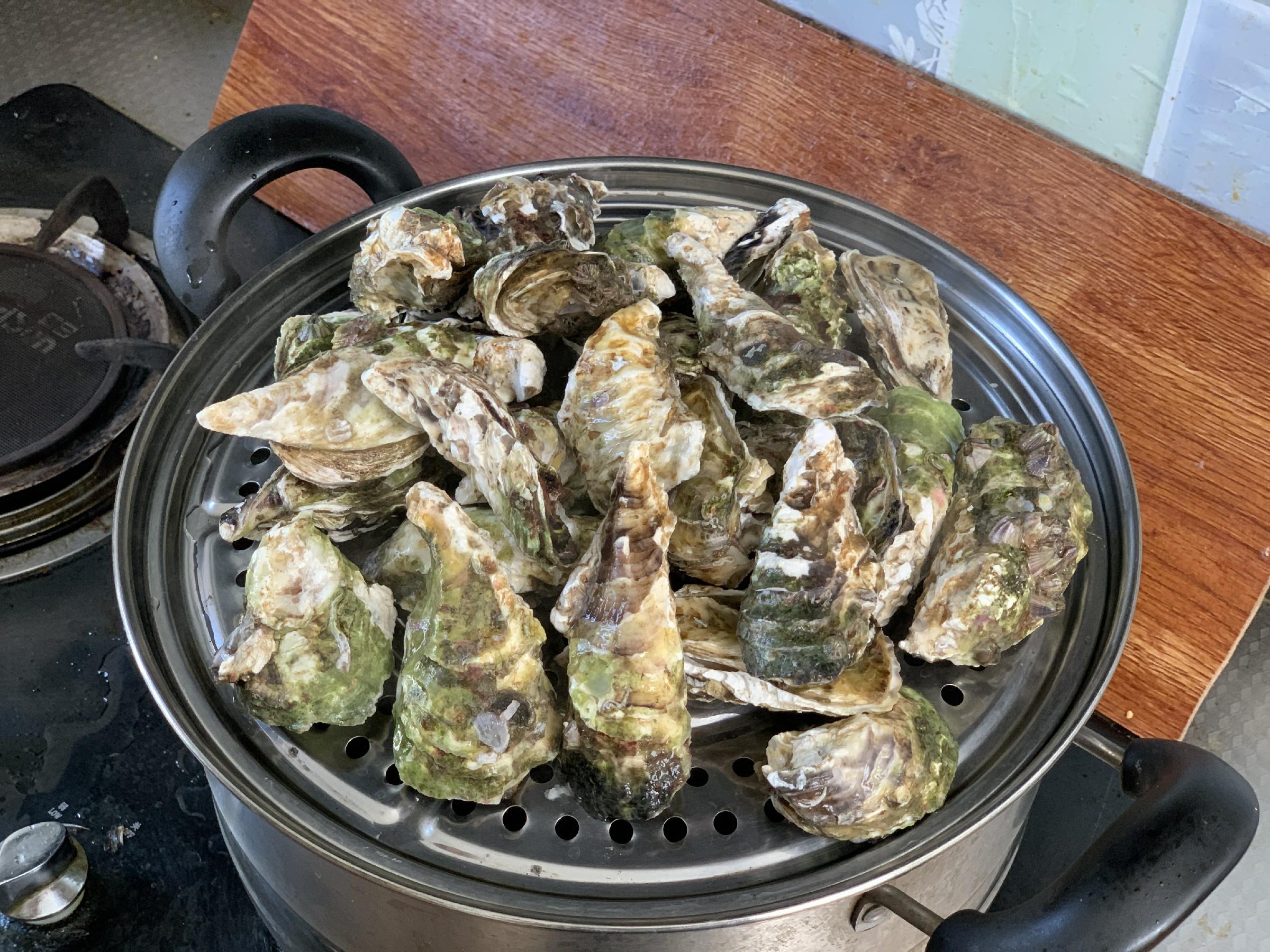 生蚝大的划算还是小的划算 生蚝买大号还是小号划算
