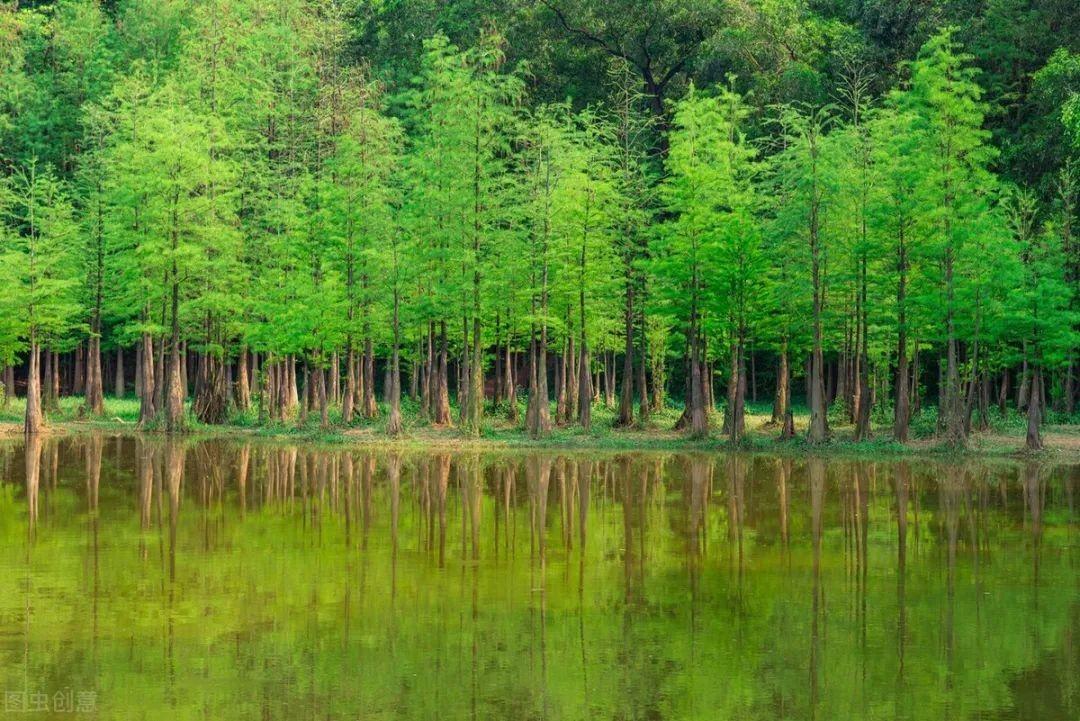 暑假适合带孩子去哪里旅游,经济又实惠 暑假带孩子去哪里玩好(图8)